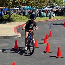 Cutting Through the Cones